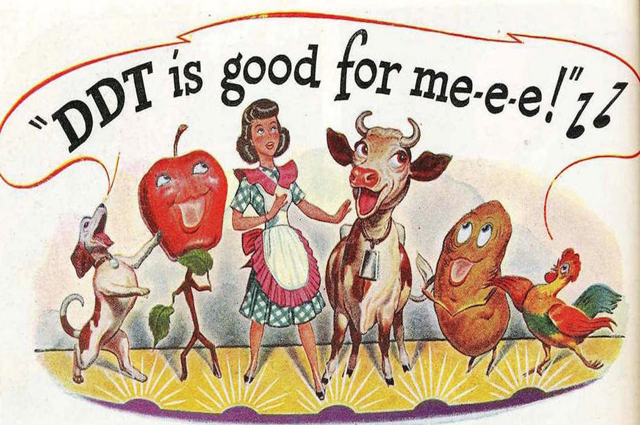 Beware the Singing Cow